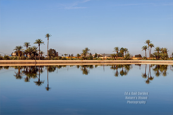 R5 2025-02-28-4613-Edit