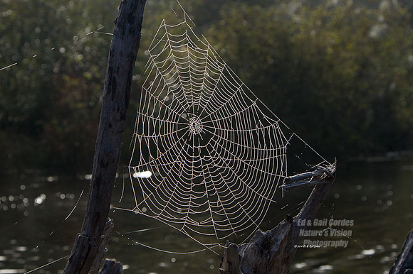 7D 2014-09-26-9849