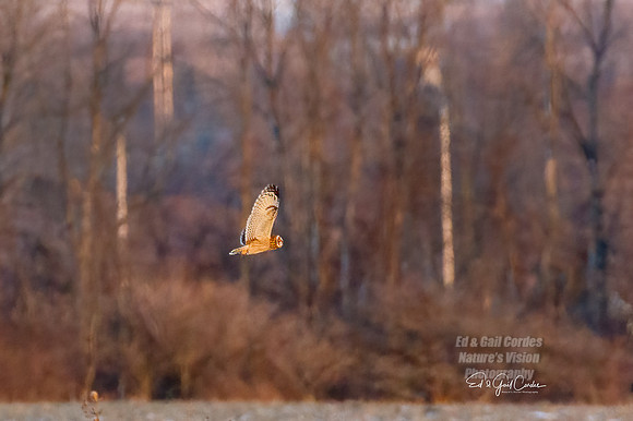 7D2E 2022-01-12-9742-Edit