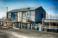 7D2E 2016-11-21-4969_HDR2-2