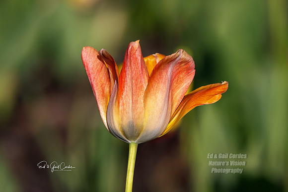 R5 2025-05-20-5167-Edit