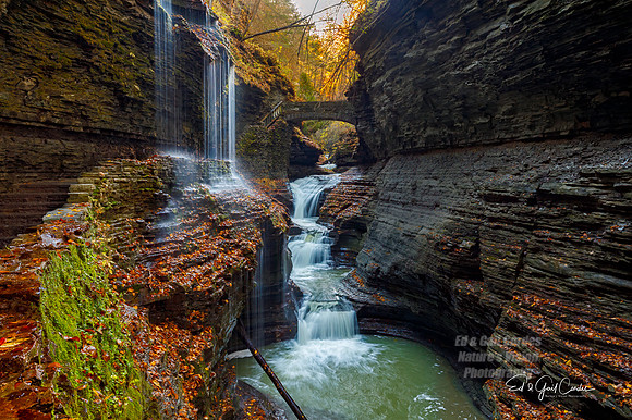 5D4 2019-10-29-0409-Edit A
