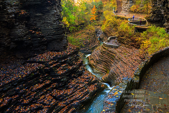 5D4 2019-10-29-0389-Edit A