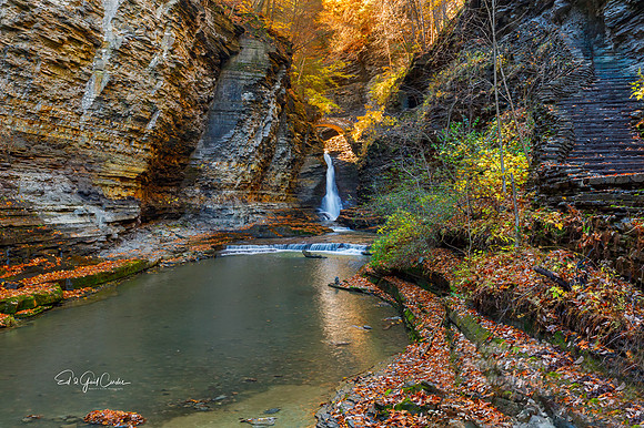 5D4 2019-10-29-0397-Edit A