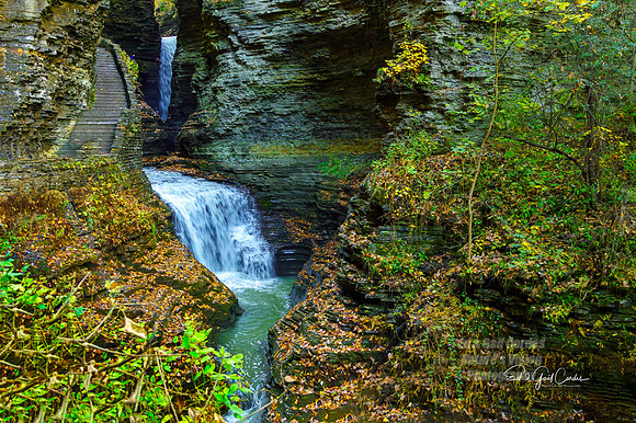 Sony 2019-10-29-2855-Edit 2