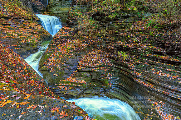 5D4 2019-10-29-0386-Edit A