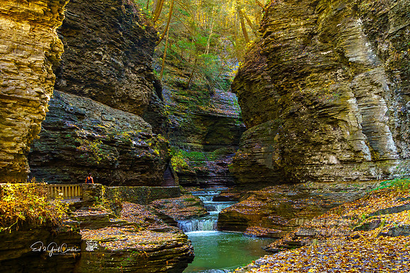 Sony 2019-10-29-2875-Edit A