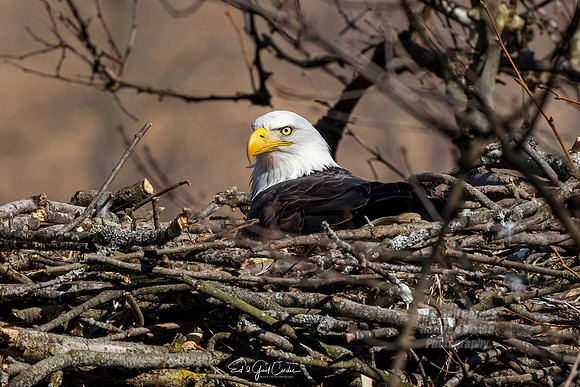 R5 2022-03-06-1358-Edit