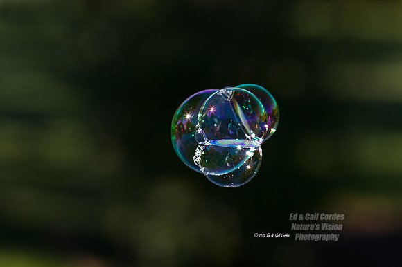 1D4 2015-10-15-5554