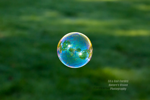 1D4 2015-10-15-5577