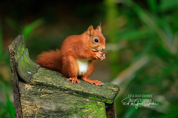 5D4 2018-08-15-4987