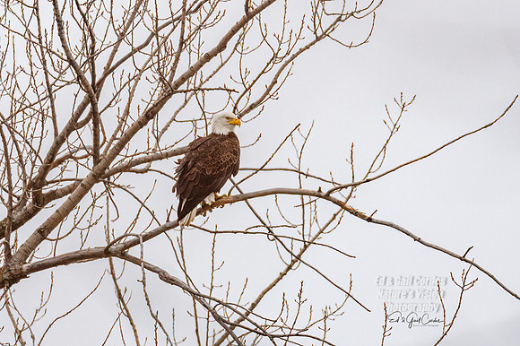 7D2E 2022-02-27-0741-Edit