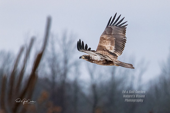 R5 2022-01-12-9712-Edit