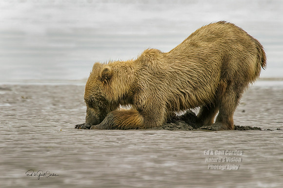 Alaska 2004-6738_output Crop