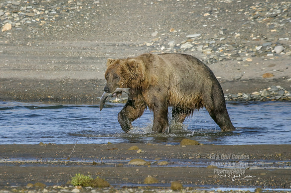 Alaska 2004-6871_output Crop
