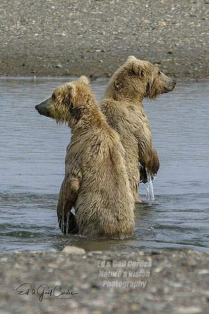 Alaska 2004-6707_output Crop