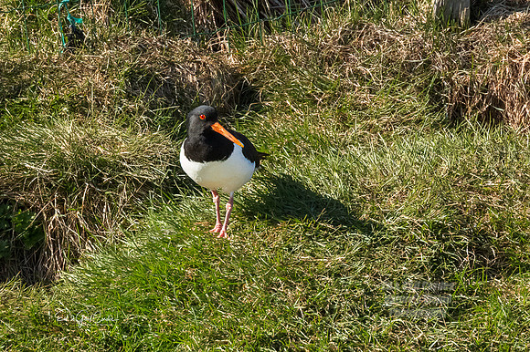 R5 2022-05-06-2469-Edit