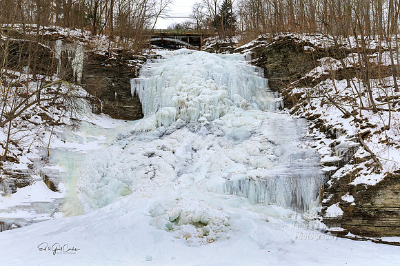 5D4 2019-02-04-7182