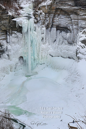 7D2G 2019-02-04-6270