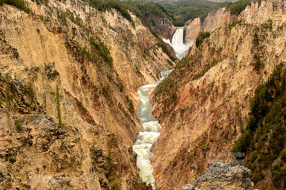 Yellowstone 2005-9208