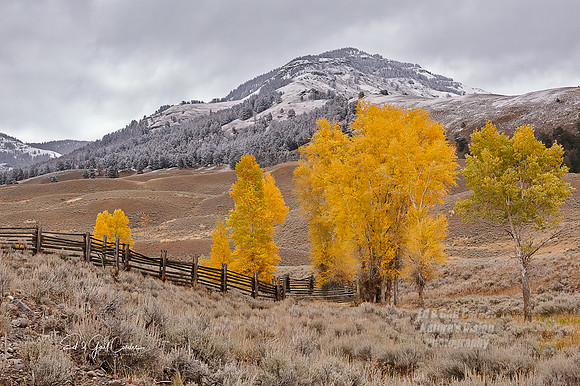 Yellowstone 2006-9587 B_output