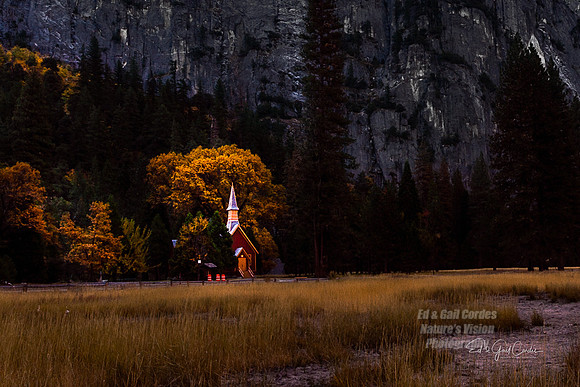 Yosemite Sequoia 2008-7638 A
