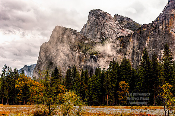 Yosemite Sequoia 2008-4319 B