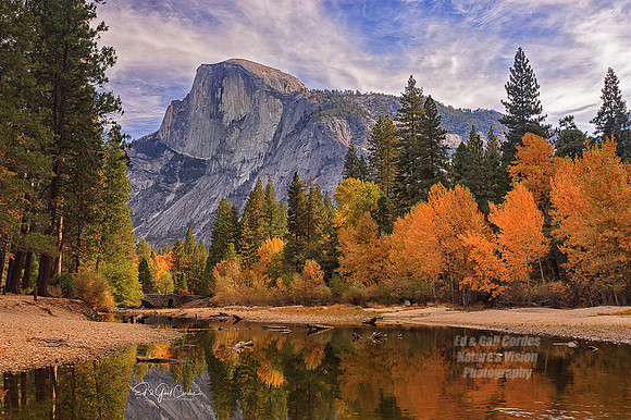Yosemite Sequoia 2008-7695