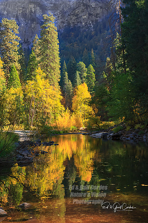 Yosemite Sequoia 2008-7824