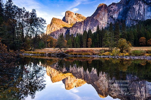 Yosemite Sequoia 2008-7933