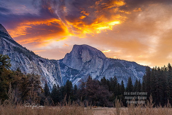 Yosemite Sequoia 2008-7993 B