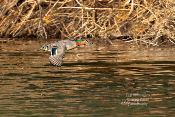 R5 2022-02-21-0811-Edit