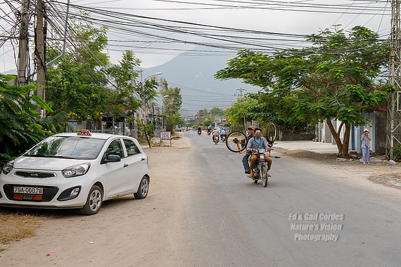 5D4 2019-03-27-7492