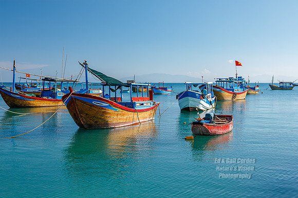 5D4 2019-03-27-7804