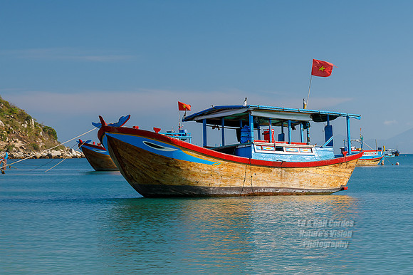 5D4 2019-03-27-7819