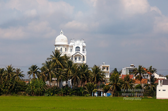 5D4 2019-03-27-7925