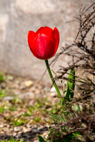 R5 2025-04-30-5089-Edit