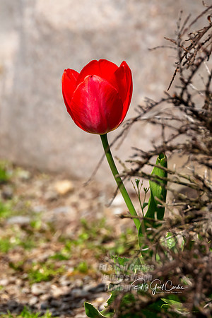 R5 2025-04-30-5089-Edit