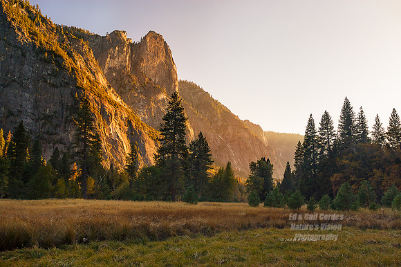 Yosemite Sequoia 2008-7613 A SoftLight