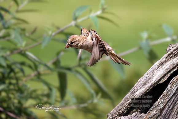R5 2023-07-02-7054-Edit