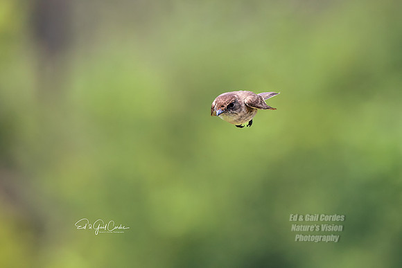 R5 2023-07-02-7073-Edit