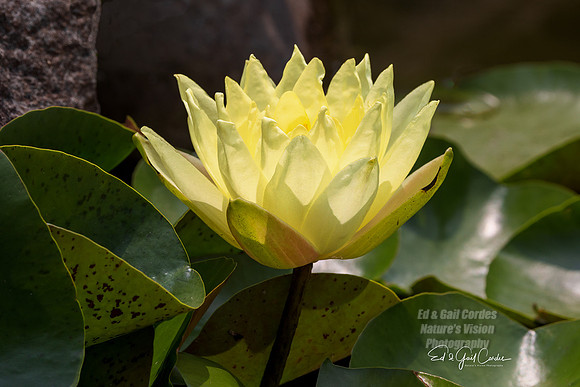 R5 2023-07-21-7192-Edit