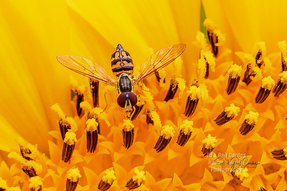 R5 2023-08-01-7243-Edit