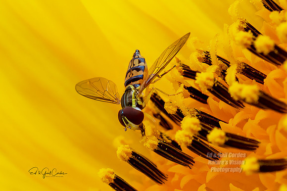 R5 2023-08-01-7244-Edit