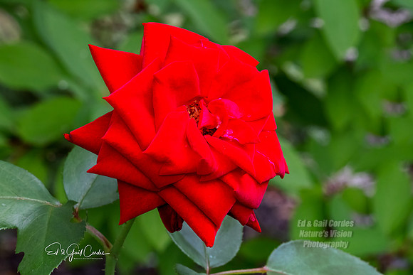 R5 2023-08-01-7266-Edit