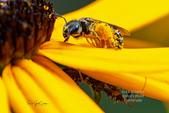 R5 2023-08-01-7289-Edit