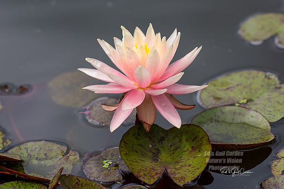R5 2023-08-07-7316-Edit