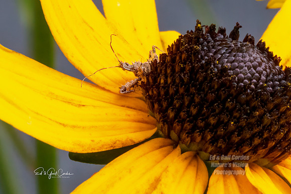 R5 2023-08-07-7344-Edit