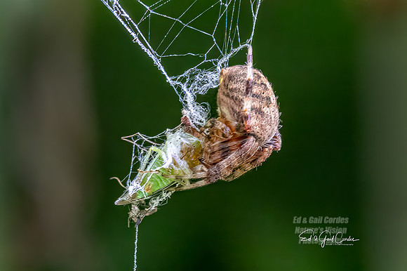 R5 2023-08-07-7349-Edit