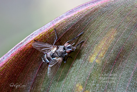 R5 2023-10-05-7691-Edit